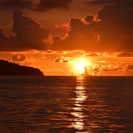 Le Chant De Merle Self -Catering Studios And Apartments Mahe Island Bagian luar foto