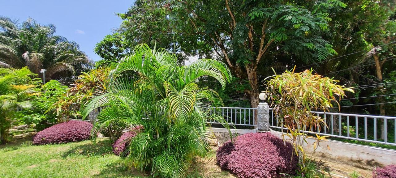 Le Chant De Merle Self -Catering Studios And Apartments Mahe Island Bagian luar foto
