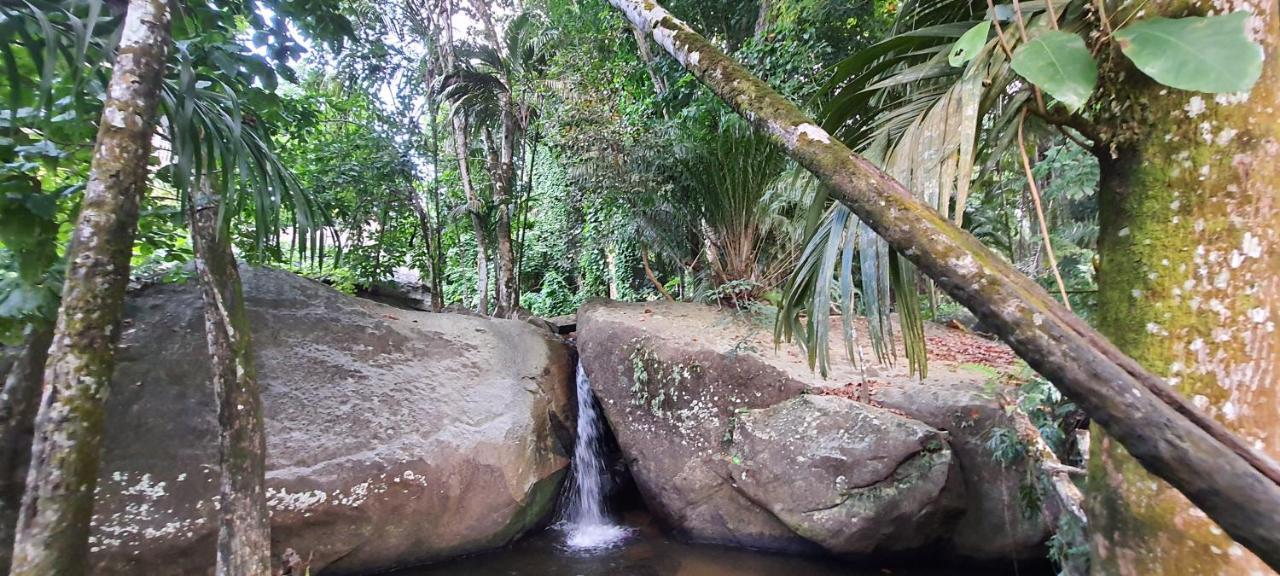 Le Chant De Merle Self -Catering Studios And Apartments Mahe Island Bagian luar foto