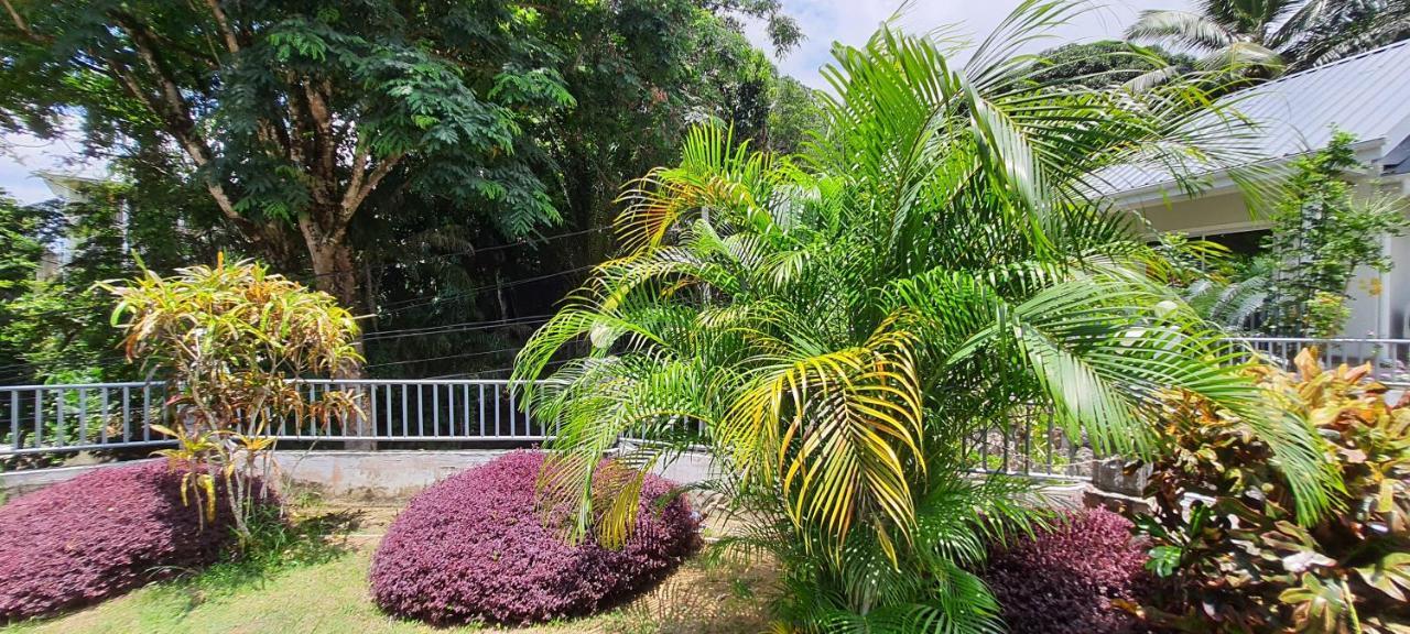 Le Chant De Merle Self -Catering Studios And Apartments Mahe Island Bagian luar foto